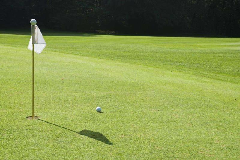 artificial putting green grass