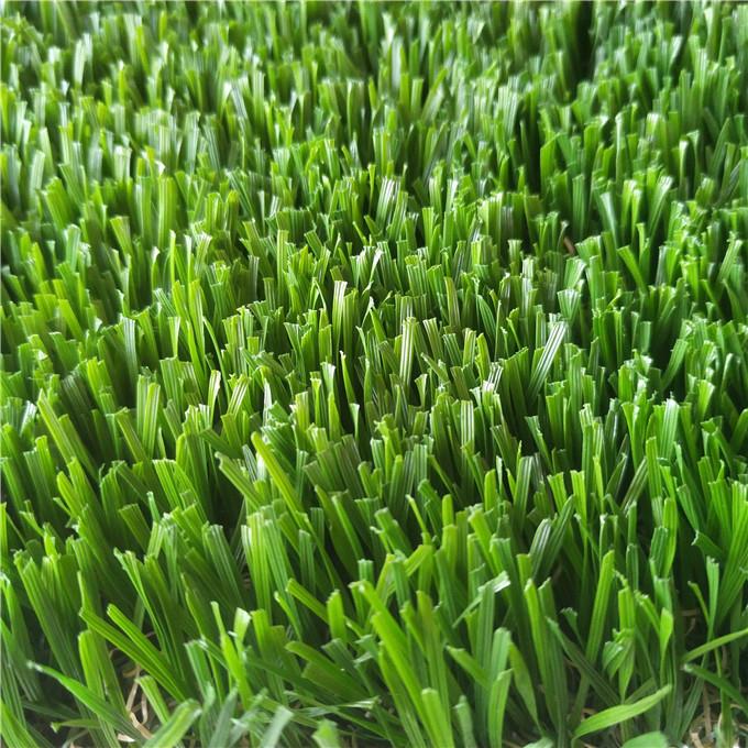 mākslīgais kūdra mājas03.jpg artificial turf for home03.jpg