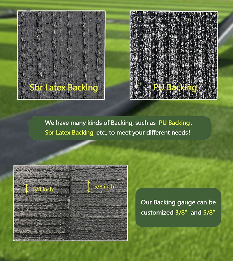 product-800-896 product-800-896