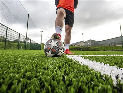 Kādas ir galvenās atšķirības starp sporta zālienu un ainavu zālienu?