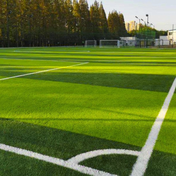 synthetic turf field synthetic turf field