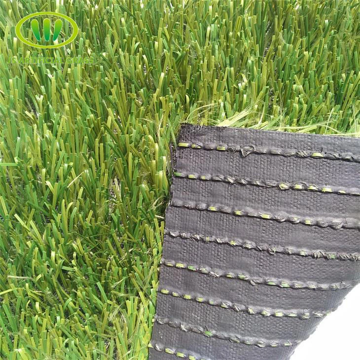 Grass For Soccer Fields