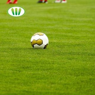 50 mm augsts mākslīgais zirgs futbola laukumam
