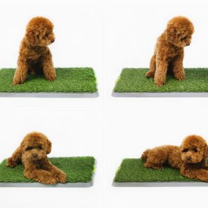 UV izturīgs bez smaržas tīrs labs ūdens caurlaidība mākslīgā labākā viltota zāle suņiem mājdzīvniekiem