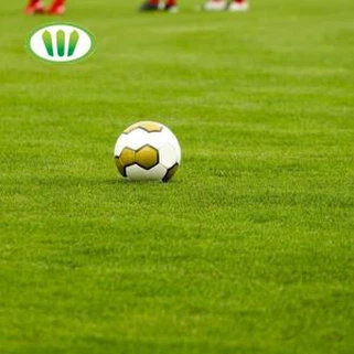 Augstas klases 50mm mākslīgais purvs futbola laukumam