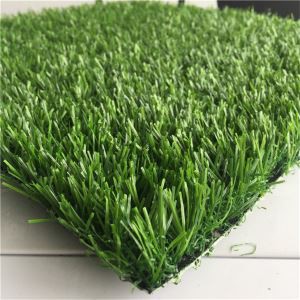 Iekštelpu mākslīgā kūdra