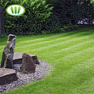 Meklē dabas tirdzniecības viltojumu zāle dārza rotājums