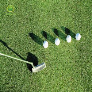 Labu sniegumu golfa sporta spēļu sintētisko Putting Green paklājs mākslīgās Turf