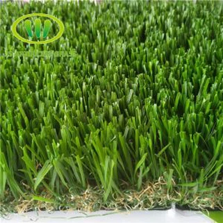 Turf Grass Backyard