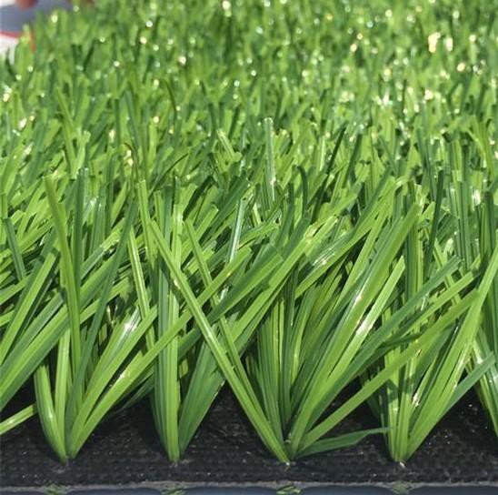 Soccer Field Turf Artificia