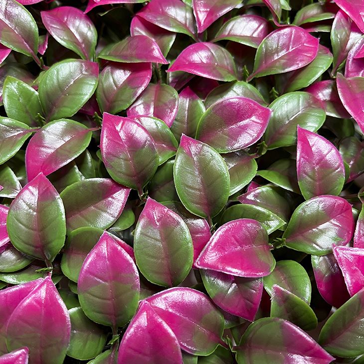 Fake Grass Wall