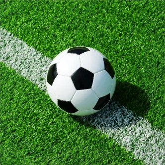 artificial grass football field