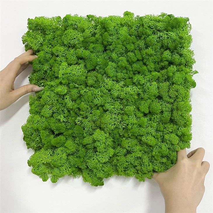 Art Deco Artificial Moss Wall